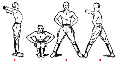 Утренняя зарядка для мужчин: комплекс упражнений с собственным весом и  гантелями | Тренировка живота мужчины, Упражнения, Силовые тренировки тела