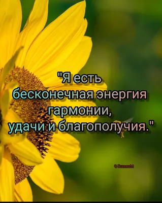 Доброе утро красивые картинки. 120 новых открыток с добрым утром. | Утренние  цитаты, Цитаты для поднятия настроения, Доброе утро