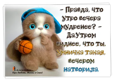 Утро вечера мудренее. Спокойной ночи! - YouTube