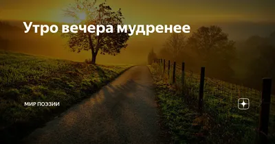 Кто сказал - \"Утро вечера мудренее?\"