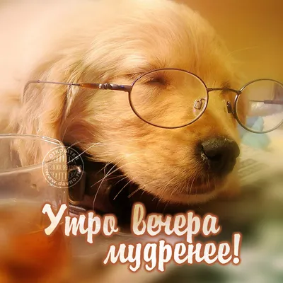 Утро вечера мудренее.