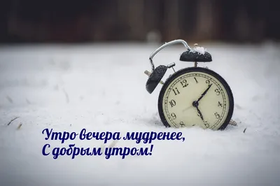 Утро вечера мудренее или как не поверить фейкам. | Лёлька из Крыма. Про  жизнь | Дзен