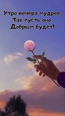 Утро вечера мудренее или как отобразил известную пословицу ИИ - Бесплатные  обои на рабочий стол | Нейронный Арт | Дзен