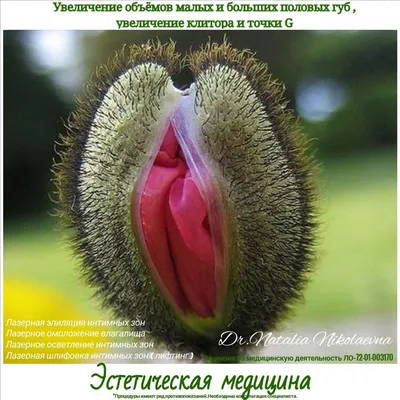 Гинекологический м.ц. Гармония - 💞Увеличение точки G💞 ⠀ 💕Точка G у  женщины – это небольшая выпуклость, которая находится на стенке влагалища.  Она может достигать размеров до трех сантиметров. Эта точка отвечает за