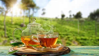 Узбекский чай: аромат и цвет