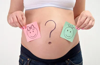 Узнать пол в 17 недель. — 28 ответов | форум Babyblog