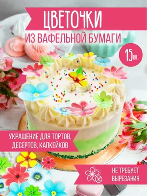 Торт вафельный Обыкновенное чудо 213 г кокосовый славянка в Москве – купить  в магазине Маяк