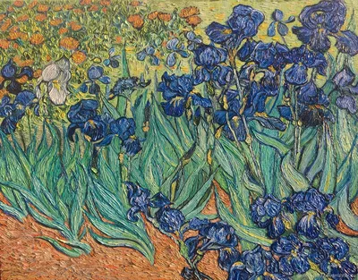 Ван Гог картины периода жизни в Сен-Реми - Ирисы 1889 - VanGogh-Vincent.ru