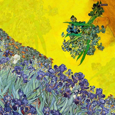Irises . English: Vincent van Gogh: Irises (1890). Русский: Винсент Ван Гог,  «Ирисы» (1890 год). Українська: Вінсент ван Гог, «Ірис» (1890). . 1890.  1223 VanGogh-Irises 3 Stock Photo - Alamy