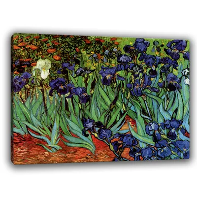 Набор для вышивания Ирисы по мотивам картины В. Ван Гога – купить в  интернет-магазине РИОЛИС (1087)