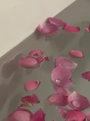 Сушеные лепестки роз, натуральный цветок для ванны, спа, розовый цветок,  отбеливающая душевая ванна, сухие лепестки, для купания, снимающий аромат,  массажер для тела 10 г | AliExpress
