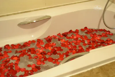 ванна с розами | Rose petal bath, Rose scented products, Rose bath aesthetic