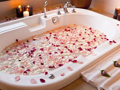 Белая ванна с лепестками розы Принимать ванну с розами Стоковое Изображение  - изображение насчитывающей женщина, красивейшее: 114991171