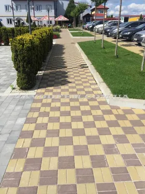Укладка тротуарной плитки на бетонное основание: теория и практические  советы