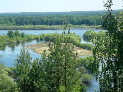 Варнавинский район: Будете проходить мимо - приходите! | Нижегородская  правда