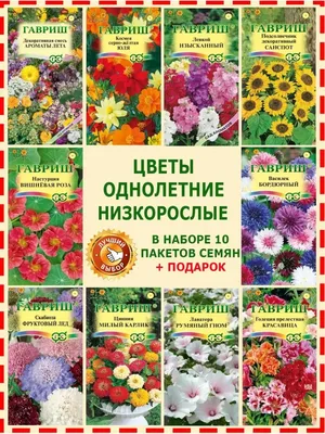 Семена цветов однолетних набор для сада и дачи василек Гавриш 155193249  купить за 51 600 сум в интернет-магазине Wildberries