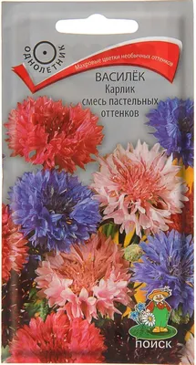 Василек карликовая смесь пастельных тонов, 0,1гр купить с доставкой почтой  по РФ, СДЭК курьер, ПВЗ, почта, цены и фото