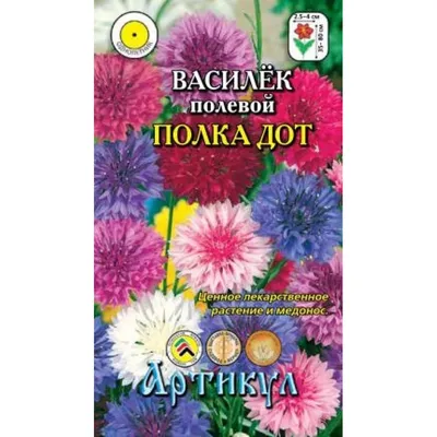 А вы знаете какие бывают васильки | Диван до свидания | Дзен