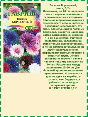 Василек Лагуна (семена,цветы) купить по цене 45.9 ₽ в интернет-магазине  KazanExpress