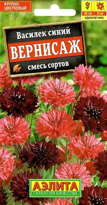 Василек луговой | Торговый Дом «КЧХК»