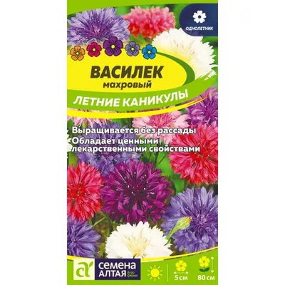 Василек горный «Белый»: купить недорого с доставкой — Крокус-ВЛ