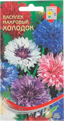 Василек горный \"Centaurea\" купить по цене цена по запросу от питомника  саженцев и растений Центросад | Фото и консультация по уходу