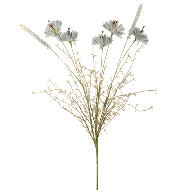 Василек \"Draba Alabama\" (Драба Алабама), купить в Екатеринбурге