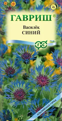 Василек