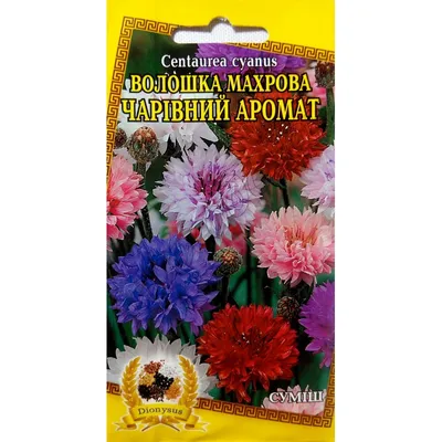 Василек Махровый Императорский смесь \"Аэлита-Экстра\" 🏆 – купить семена в  Перми