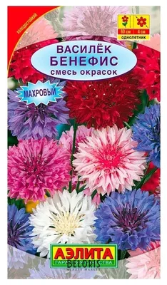 Василек Махровый низкорослый смесь /0,3г/ Семена Украины - Yes!Огород — все  для сада и огорода