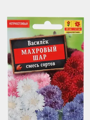 Василёк Махровый Красный 0.5 г, Яскрава: продажа, цена в Ирпене. Семена и  клубни трав и цветов от \"rozamimoza\" - 1464579912