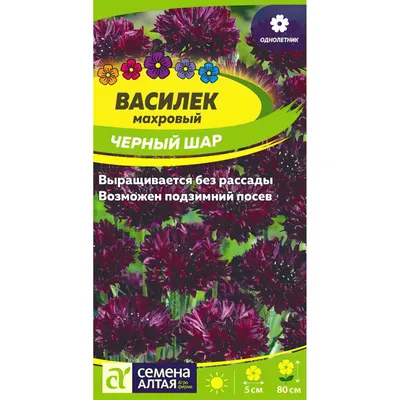 Семена цветов Василек \"Брусничный джем\" махровый, смесь окрасок, О, 0,3 г  (1314014) - Купить по цене от 16.10 руб. | Интернет магазин SIMA-LAND.RU