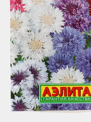 Купить семена Василек махровый Голубой шар в Минске и почтой по Беларуси