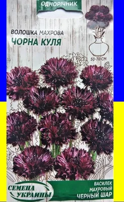 Василек махровый (смесь) ОД 0,5г (10 пачек) ТМ СЕМЕНА УКРАИНЫ BP  (ID#1906747721), цена: 57 ₴, купить на Prom.ua