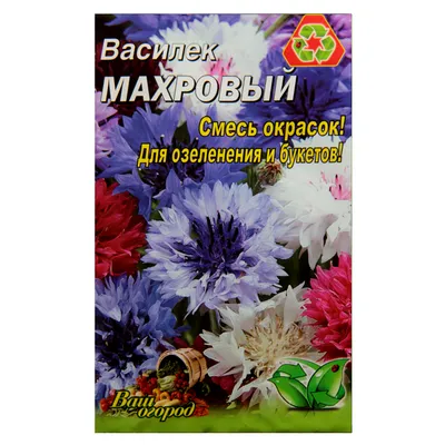 Василек \"Махровый шар\", семена, цветы, смесь сортов | ⚡ Бесплатная доставка  завтра | AliExpress