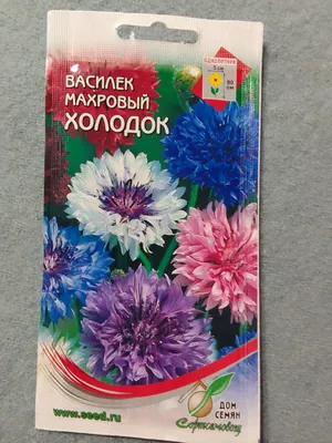 Василек Махровый шар (семена,цветы) купить по цене 59 ₽ в интернет-магазине  KazanExpress