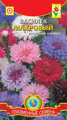 Васильки однолетние ПОИСК Агрохолдинг василекпоиск - купить по выгодным  ценам в интернет-магазине OZON (171998116)