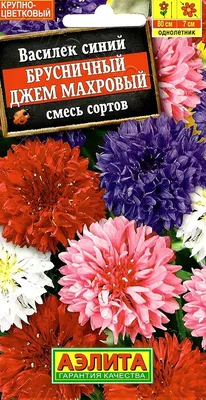 Семена василек Дом семян Холодок 43102 1 уп. - купить в Москве, цены на  Мегамаркет