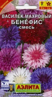 Васильки однолетние ПОИСК Агрохолдинг василекпоиск - купить по выгодным  ценам в интернет-магазине OZON (172259412)