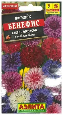 Василек Брусничный джем махровый, смесь окрасок 0,3г, семена | Купить в  интернет магазине Аэлита