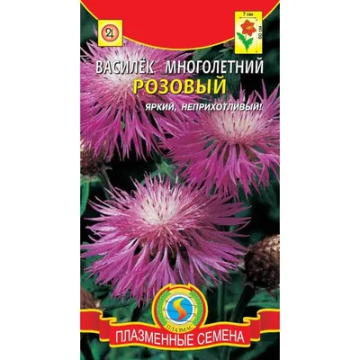 Василек многолетний Фаворит 0,1 г Удачные семена купить недорого в  интернет-магазине товаров для сада Бауцентр