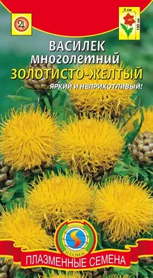 Василек Фаворит многол. Уд. с. купить в Киеве, доставка почтой по Украине,  недорого в интернет-магазине, цены