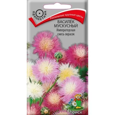 Купить Василек Императорская Смесь мускусный (Семена алтая) с доставкой  почтой по России