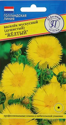 Купить Василек семена цветов однолетних с доставкой почтой в Минске