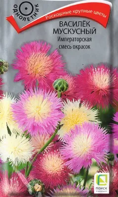 Семена Первые семена Василек мускусный, смесь, 0,5 г Первые семена 13788065  купить за 123 ₽ в интернет-магазине Wildberries