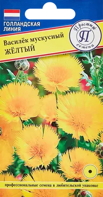 Василек мускусный Императорский смесь купить в Нур-Султане, доставка почтой  по Казахстану, недорого в интернет-магазине, цены