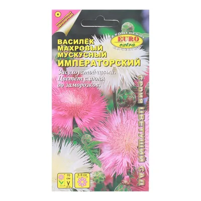 Василёк мускусный Лиловое облако, 0.2 г купить семена в Минске и почтой по  Беларуси
