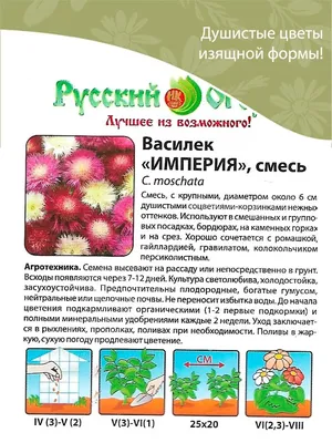 Купить Василек Императорская Смесь мускусный (Семена алтая) с доставкой  почтой по России
