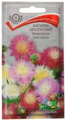 Русский Огород Семена Цветы Василек мускусный Империя, смесь