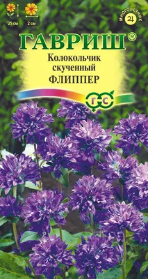 Василек посевной /Centaurea cyanus - «Самые красивые сорта василька  посевного. Символ удачи. Уход и агротехника. » | отзывы